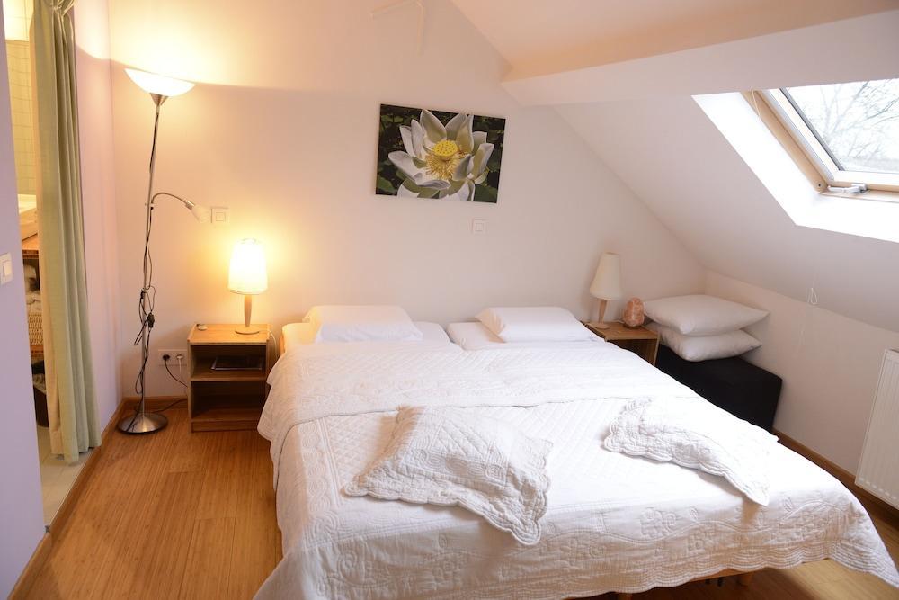 B&B Bio Brussels Saint-Gilles Ngoại thất bức ảnh
